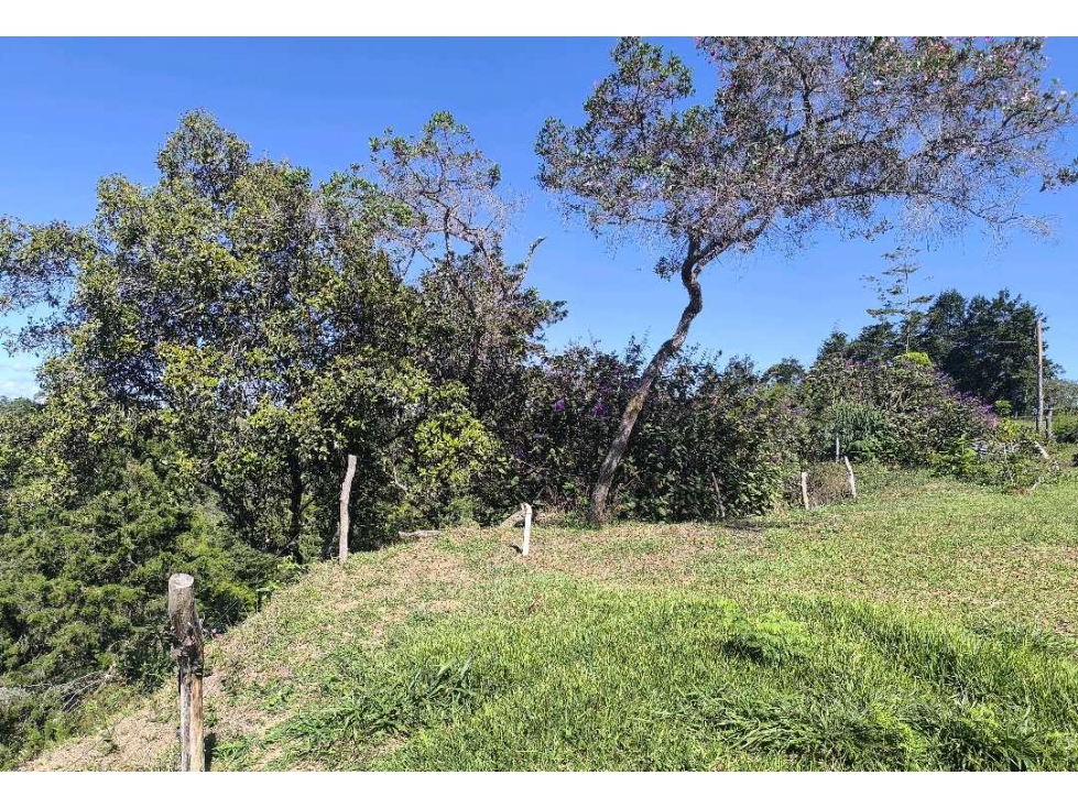 (J) Lote en venta en Rionegro Vereda Abreito 2.600 mt2 — foto 6