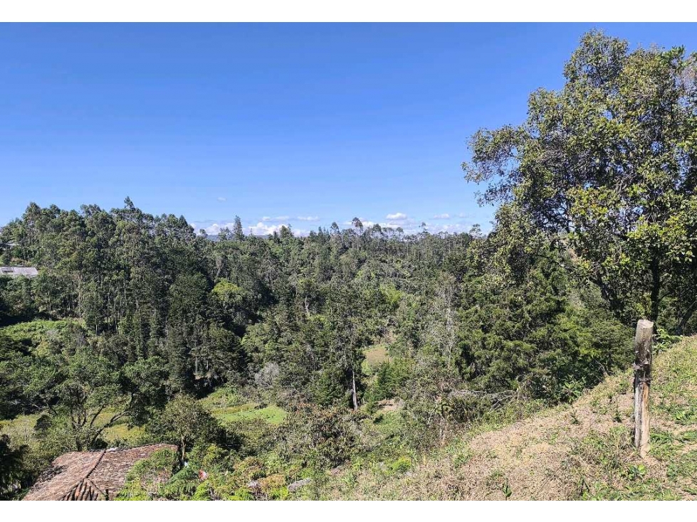 (J) Lote en venta en Rionegro Vereda Abreito 2.600 mt2 — foto 3