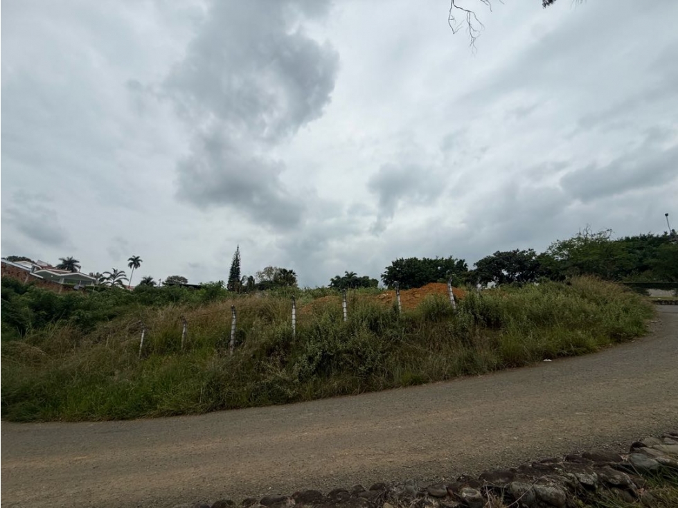 (J-C) LOTE PARA VENTA EN PANCE -SUR, CALI — foto 4