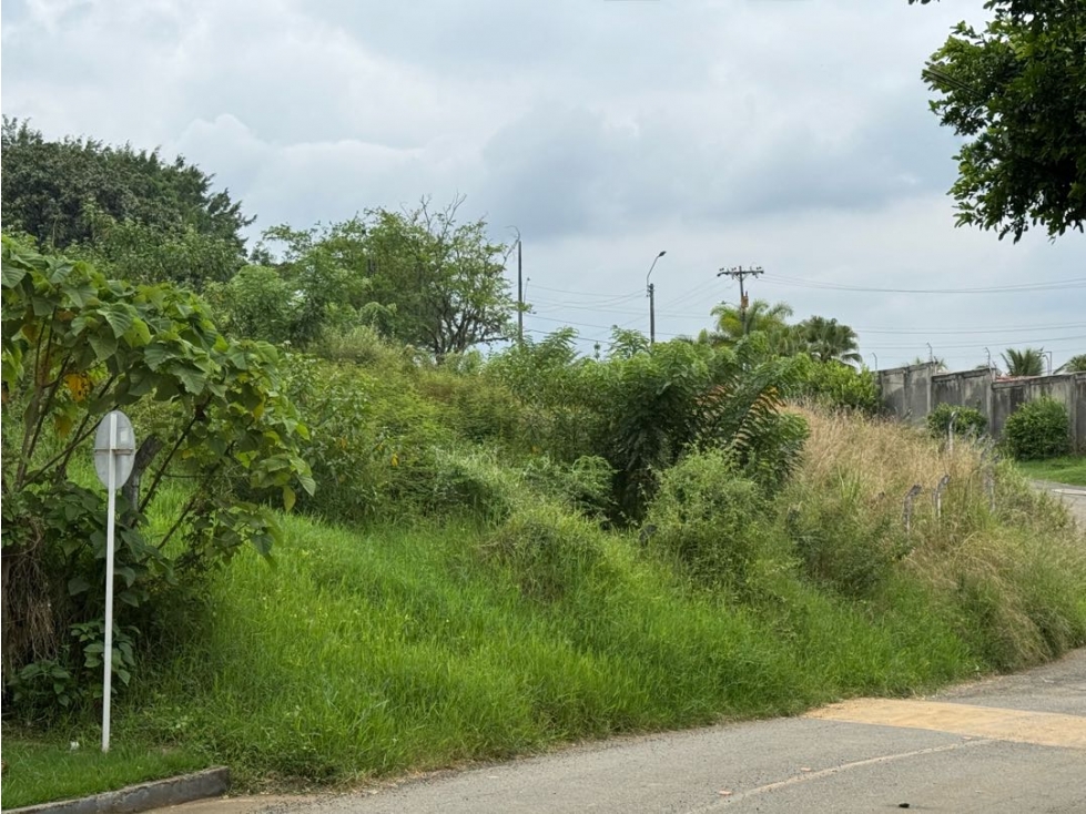 (J-C) LOTE PARA VENTA EN PANCE -SUR, CALI — foto 5