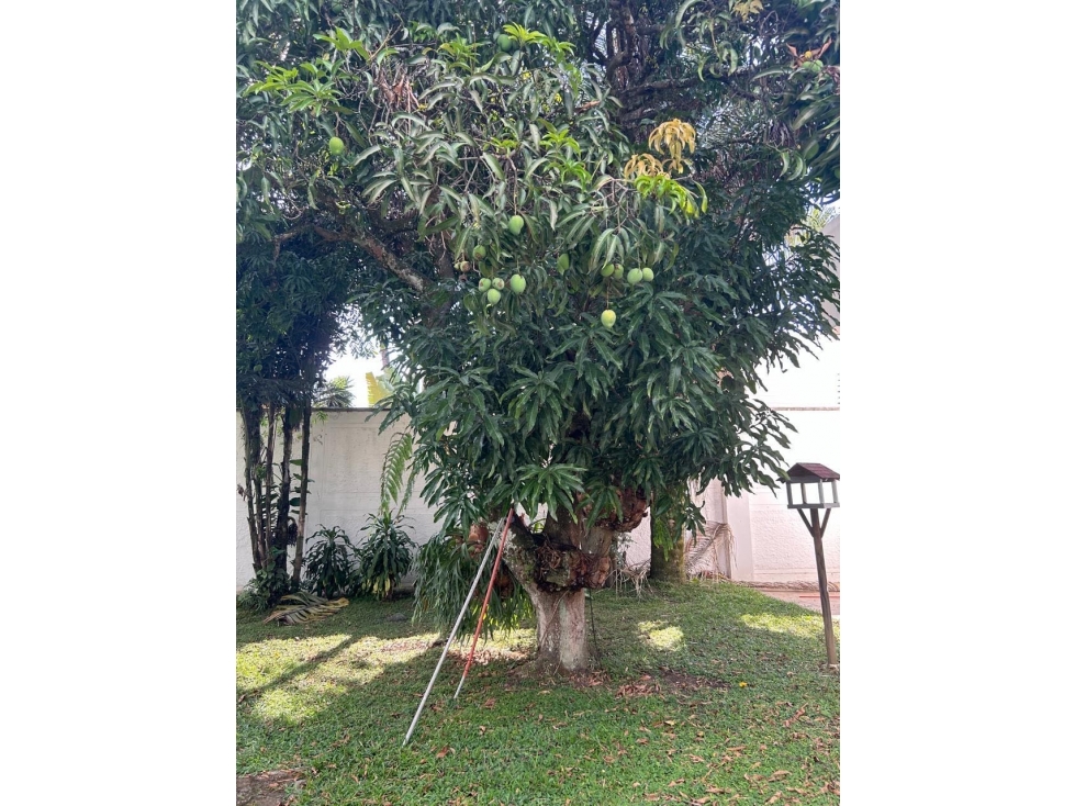 (JDA-C) CASA EN VENTA EN CIUDAD JARDÍN — foto 5