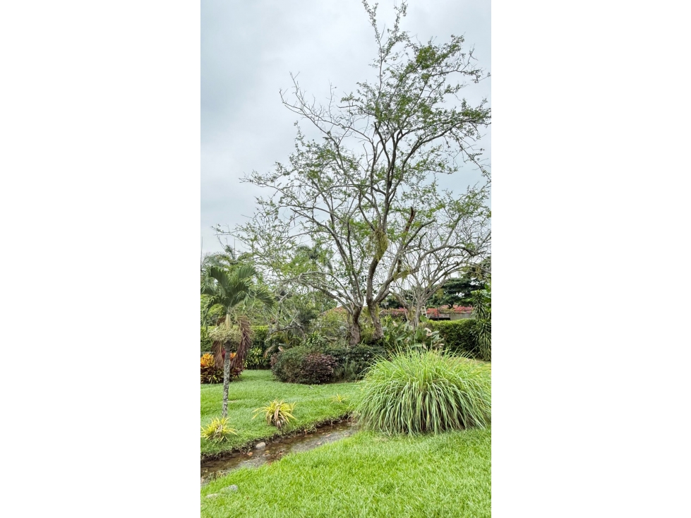(JE+1) VENTA DE CASA CAMPESTRE EN PANCE — foto 4