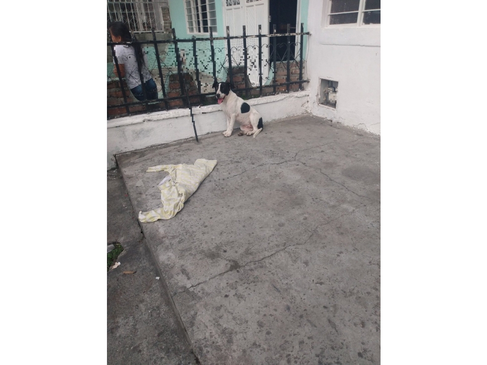 KR 33 DG 66 66 158 — foto 3