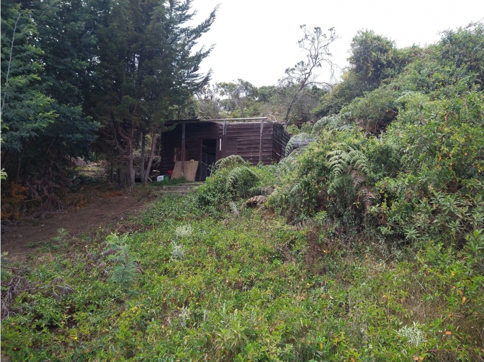 KR 7 VI LA CARO KM 17 — foto 3
