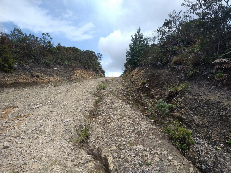 KR 7 VI LA CARO KM 17 — foto 4