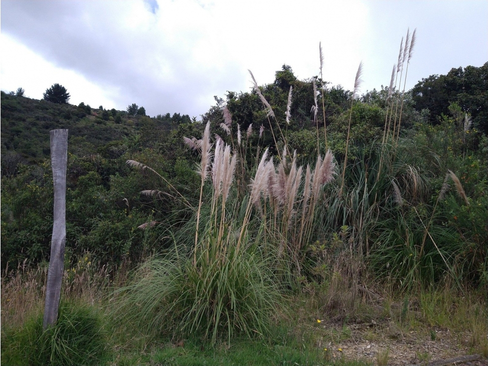 KR 7 VI LA CARO KM 17 — foto 4