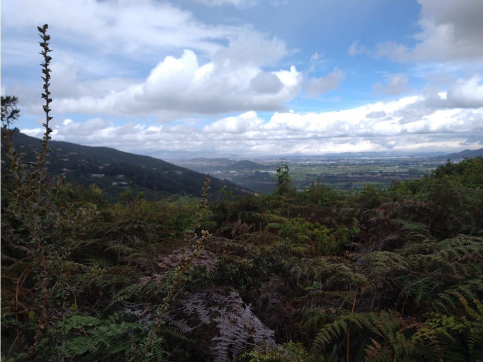 KR 7 VI LA CARO KM 17 — foto 4