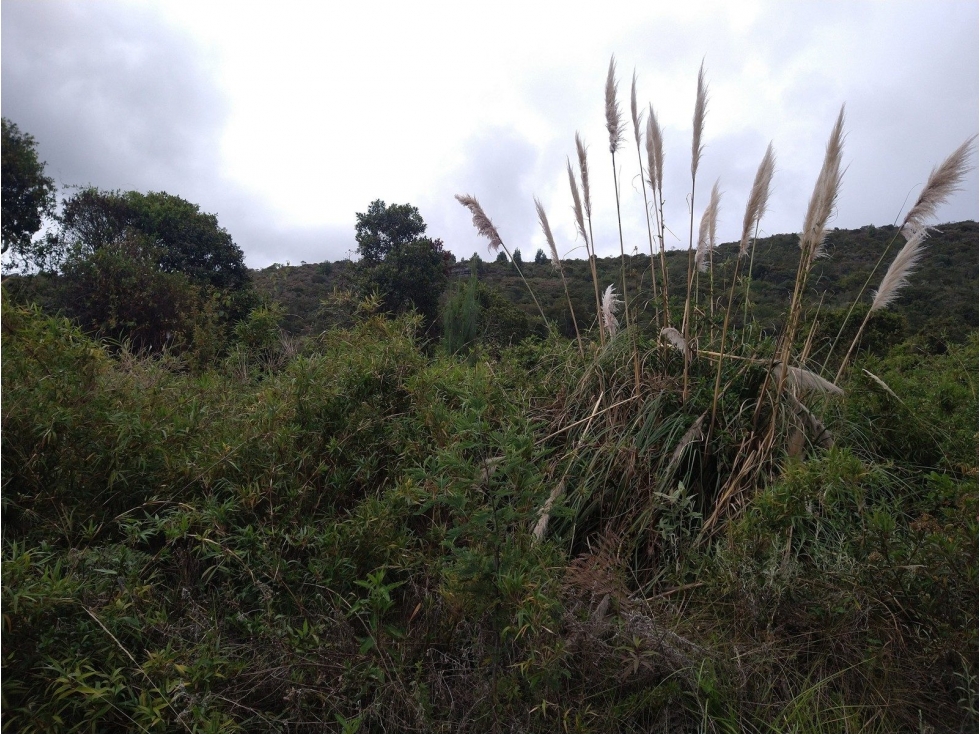 KR 7 VI LA CARO KM 17 — foto 3