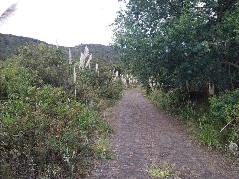 KR 7 VIA LA CARO KM 17 — foto 4