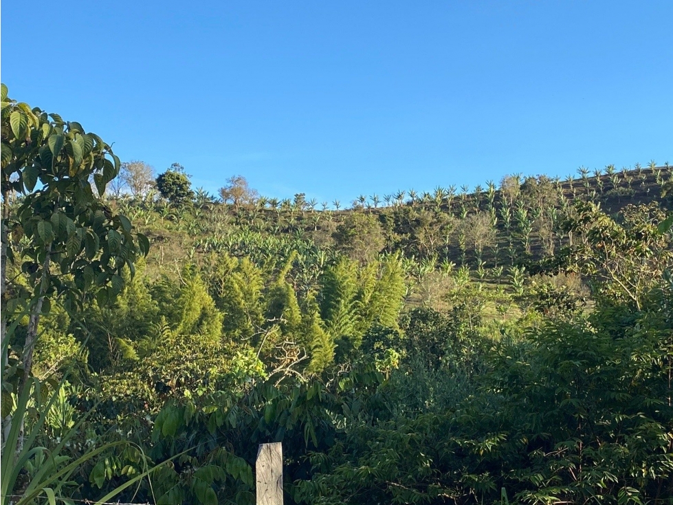 LA ALBANIA - 3