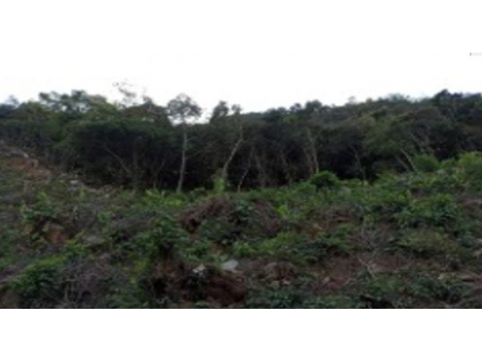 LA AURORA - 4