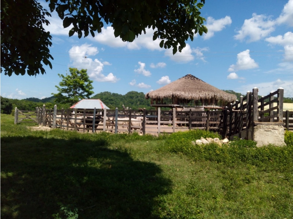 LA ESPERANZA - 3