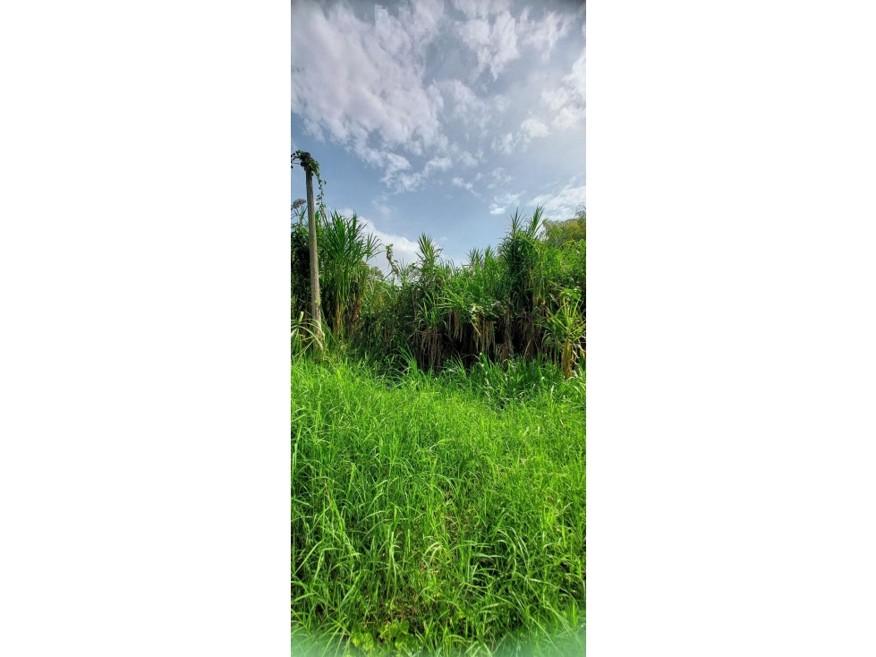 LA ESPERANZA - 3