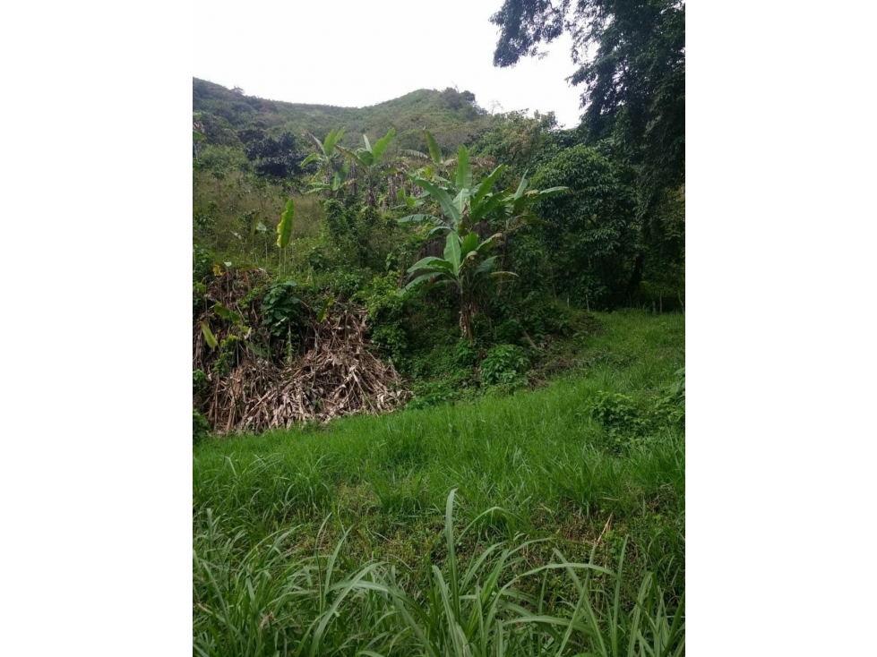 LA LAJA - 2
