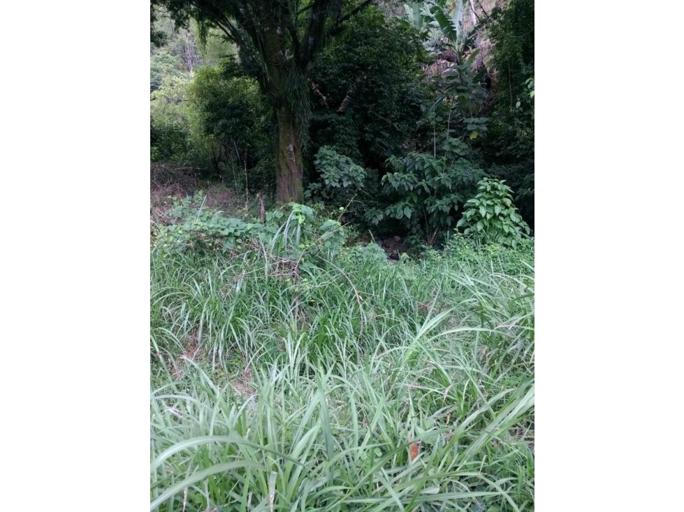 LA LAJA - 4