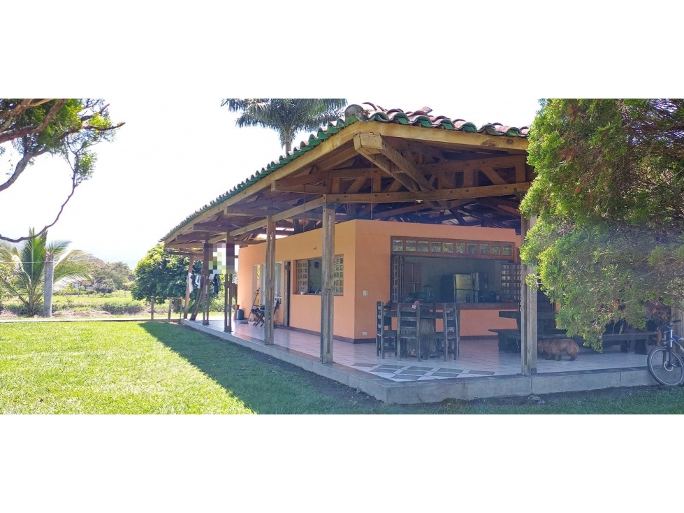LA LINA — foto 2