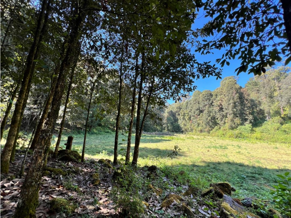 LA MONTAÑA SAN SIMÓN EL ALTO — foto 6