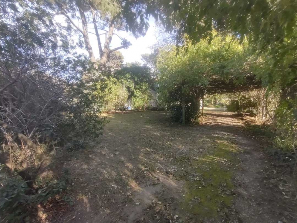 La pergola tenis — foto 2