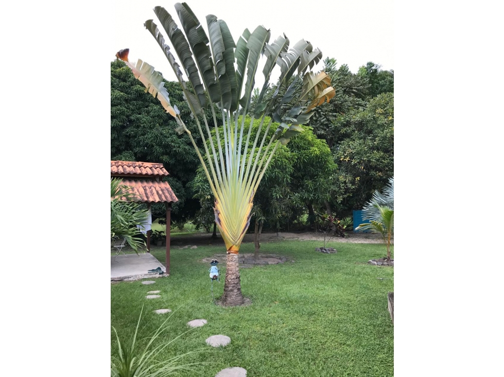 Land in Chame — foto 3