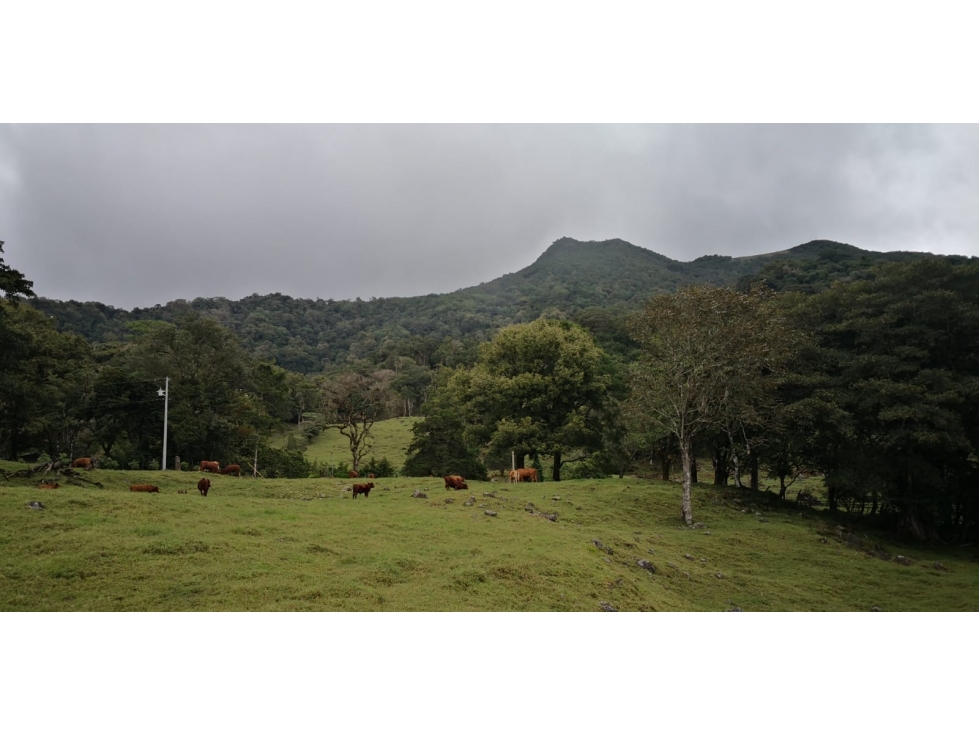Land in Chiriquí Provincia - 1