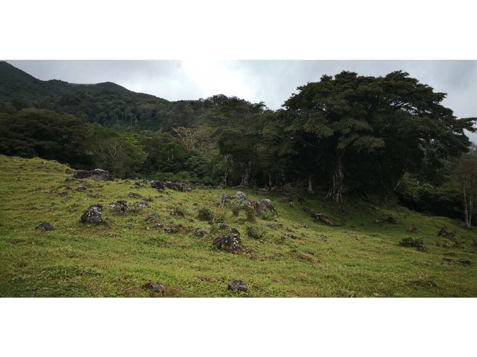 Land in Chiriquí Provincia - 2