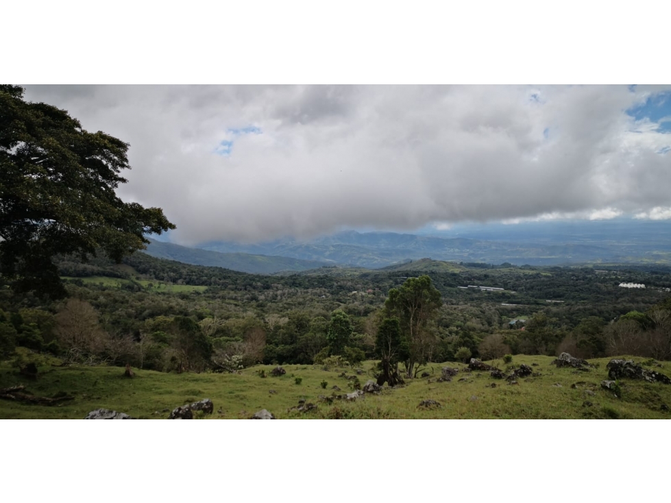 Land in Chiriquí Provincia - 3