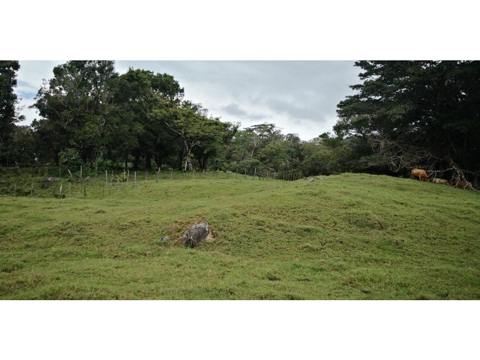 Land in Chiriquí Provincia - 4