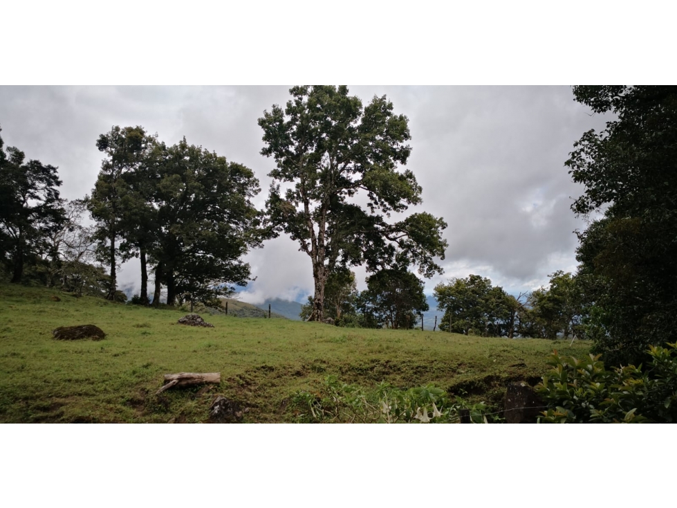 Land in Chiriquí Provincia - 5
