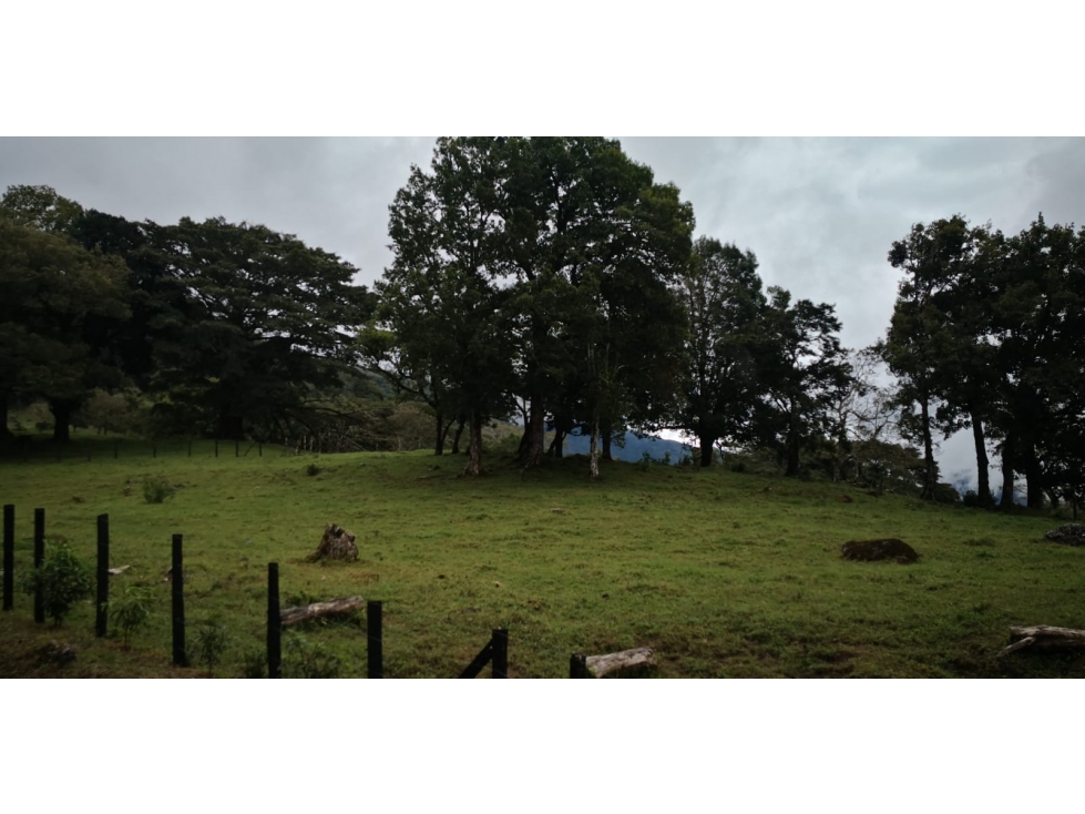 Land in Chiriquí Provincia - 6