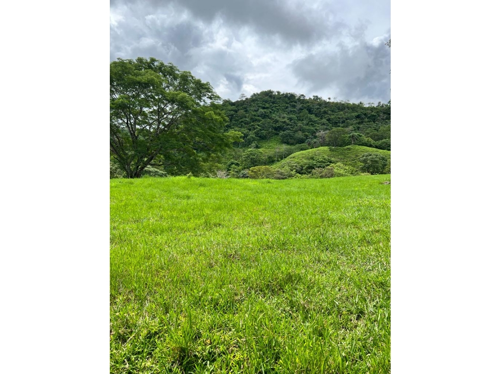 Land in Chiriquí Provincia - 1