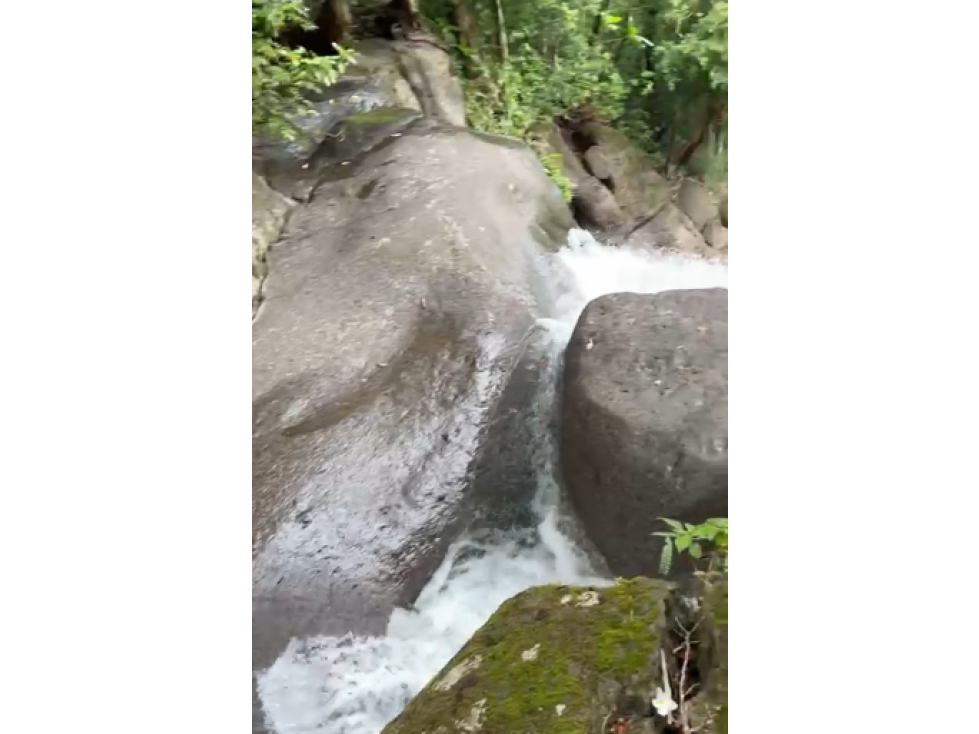Land in Chiriquí Provincia - 3