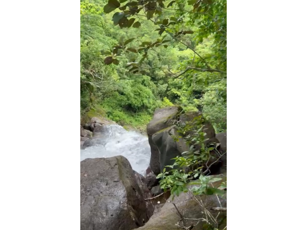 Land in Chiriquí Provincia - 4
