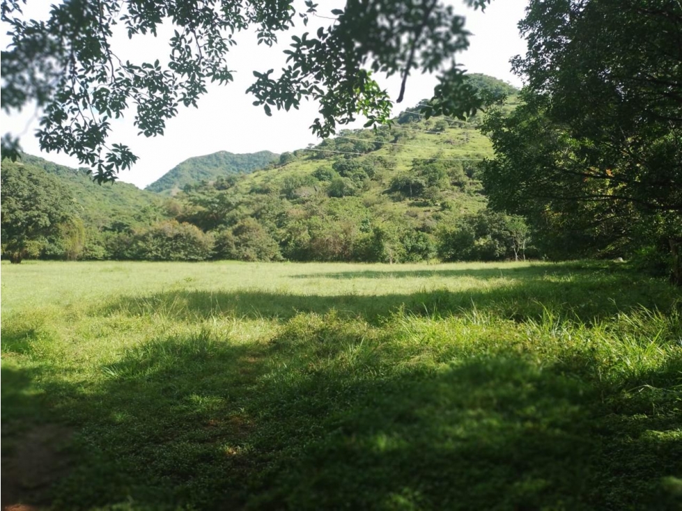 Land in Coclé Provincia - 1