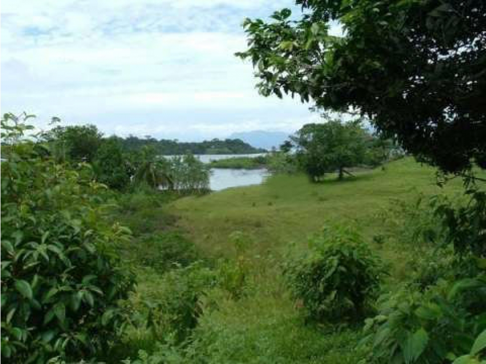 Land in Gamboa