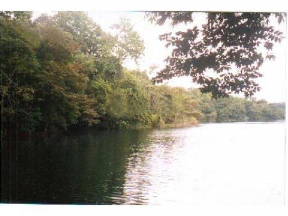 Land in Gamboa — foto 3