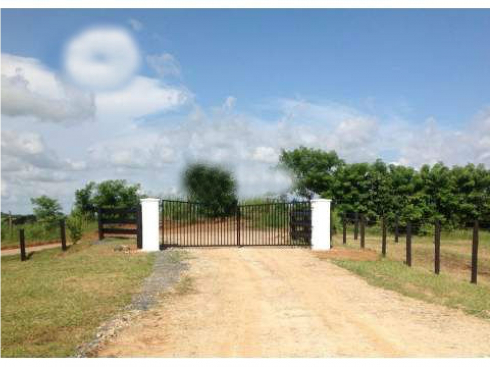 Land in La Chorrera