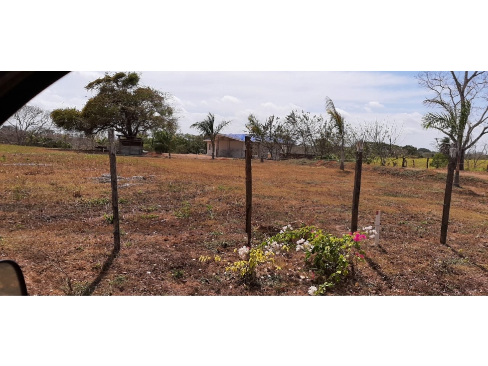Land in Los Santos Provincia - 4