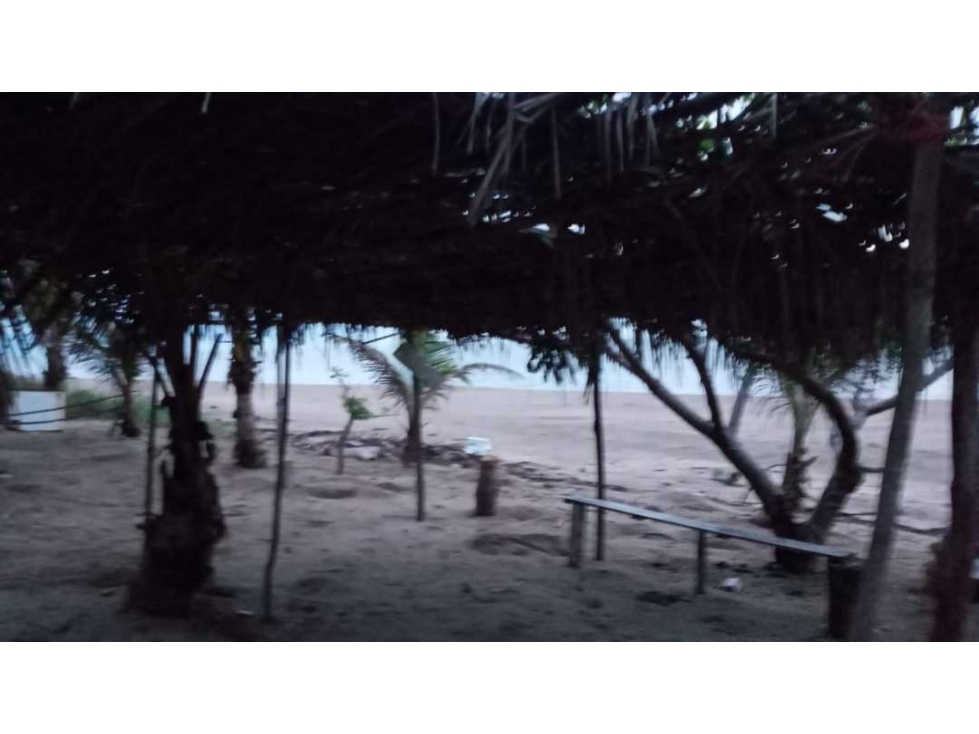 LAS TABLAS / A LA ORILLA DE LA PLAYA POCRI / 2.5 HECTÁREAS - 3