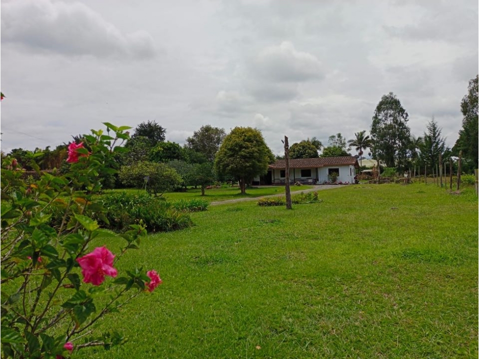 LINDA CASA LOTE EN VENTA CON EXCELENTE UBICACIÓN EN SAN ANTONIO DE PER