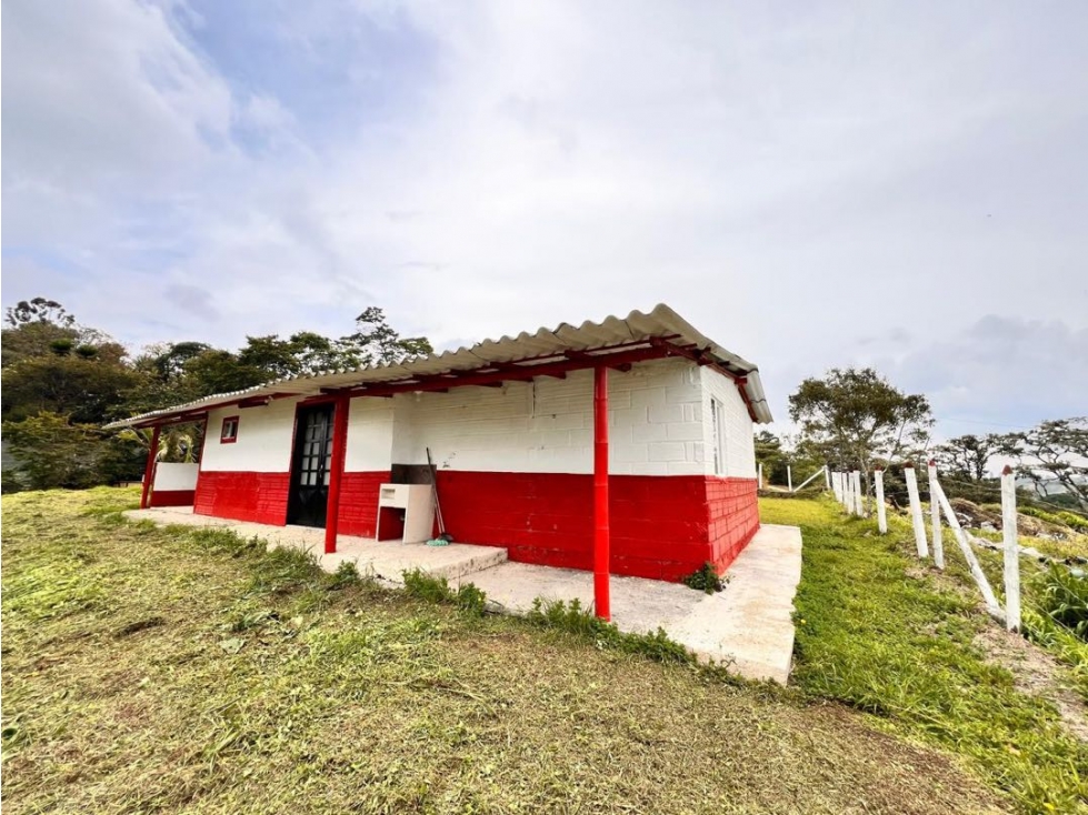 LINDA CASA FINCA EN VENTA EN EL CARMEN DE VÍBORAL ~ VÍA RIONEGRO. — foto 3