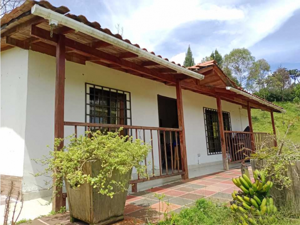 LINDA CASA FINCA EN VENTA EN SAN VICENTE FERRER ANT. DE BUEN TERRENO. — foto 3
