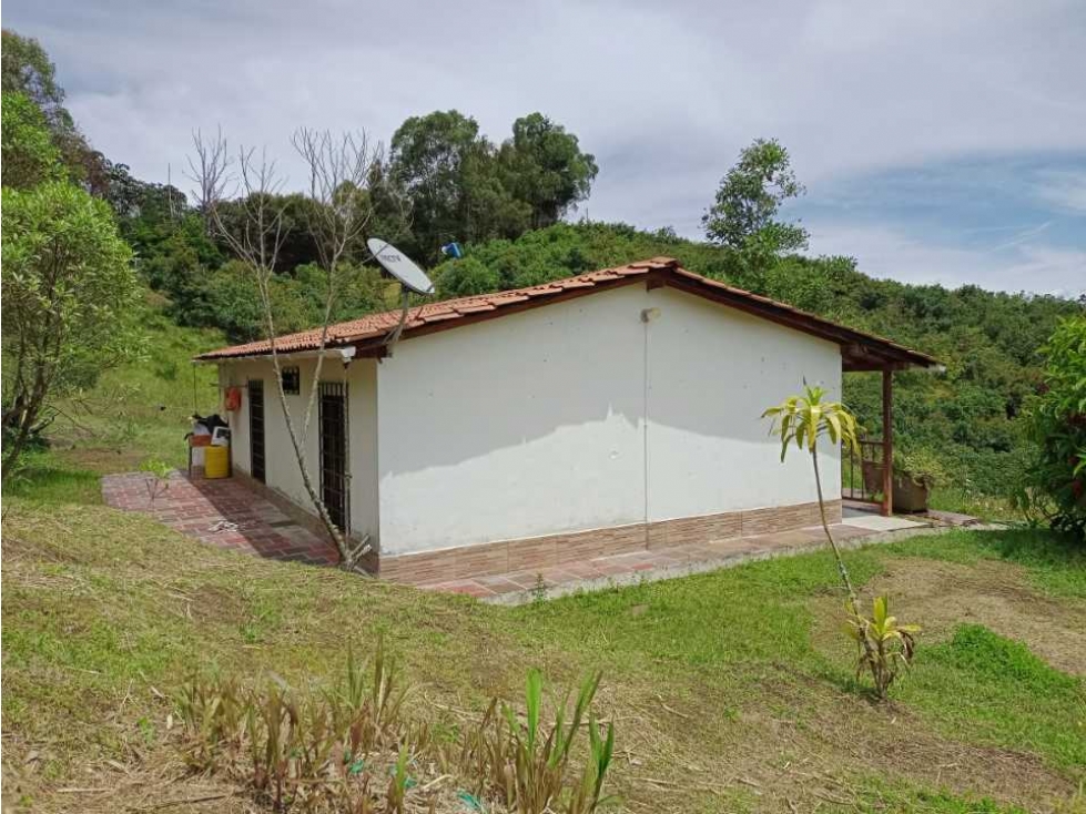 LINDA CASA FINCA EN VENTA EN SAN VICENTE FERRER ANT. DE BUEN TERRENO. — foto 4
