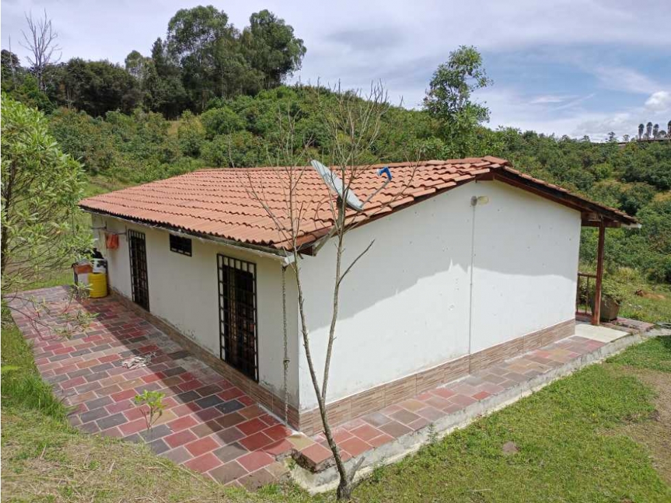 LINDA CASA FINCA EN VENTA EN SAN VICENTE FERRER ANT. DE BUEN TERRENO. — foto 5