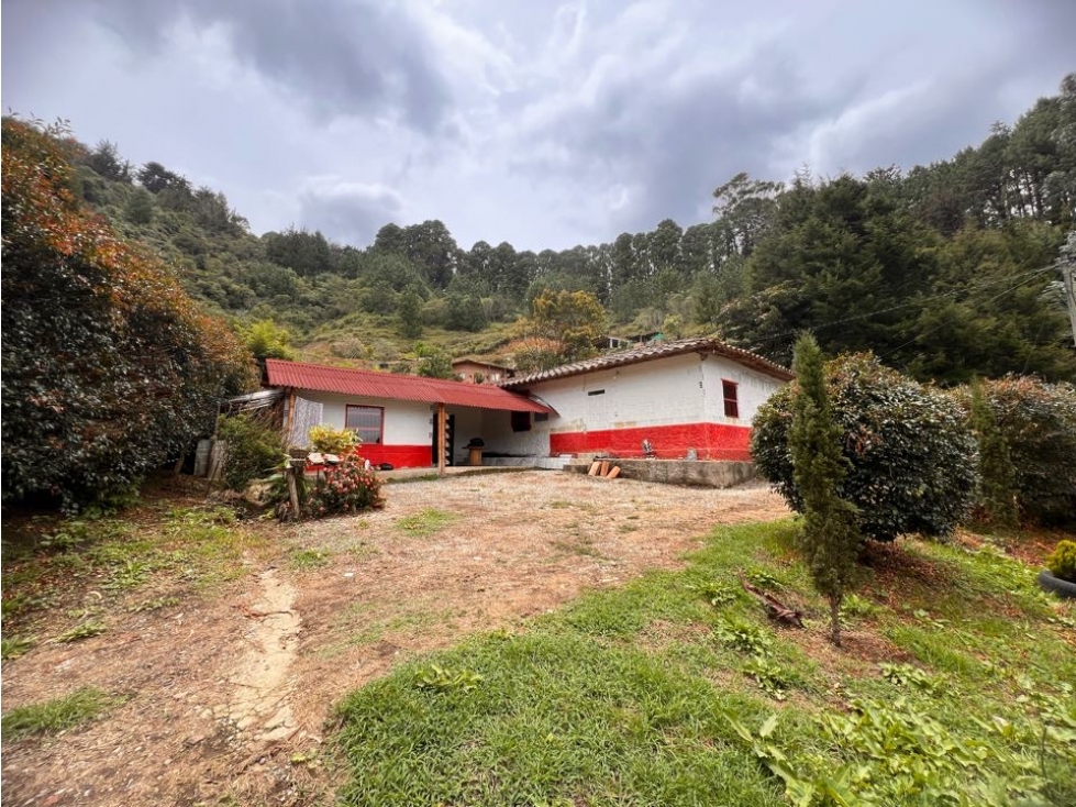 LINDA CASA FINCA TRADICIONAL EN VENTA CARMEN DE VIBORAL — foto 6