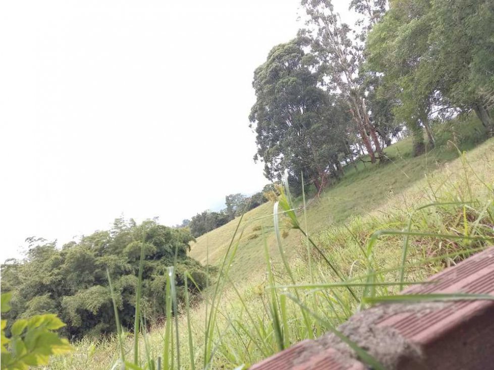 LINDA CASA LOTE EN VENTA EN LA VEREDA SAMARIA DEL CARMEN DE VIBORAL — foto 2