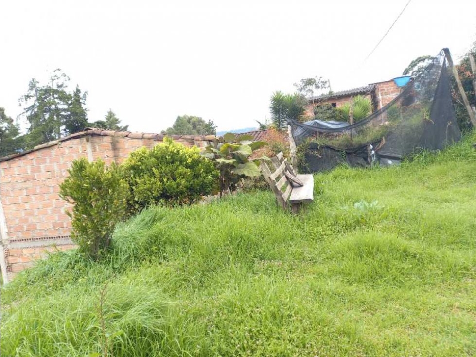 LINDA CASA LOTE EN VENTA EN LA VEREDA SAMARIA DEL CARMEN DE VIBORAL — foto 3