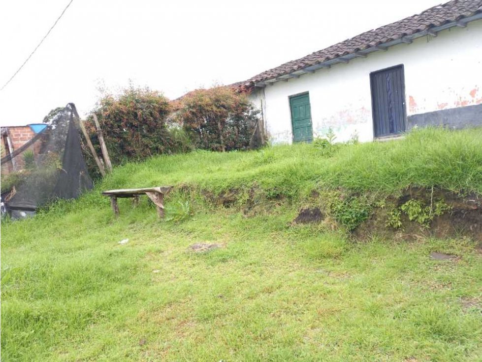 LINDA CASA LOTE EN VENTA EN LA VEREDA SAMARIA DEL CARMEN DE VIBORAL — foto 4
