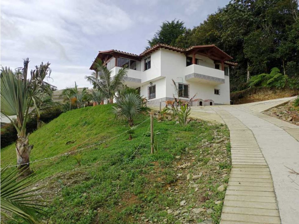 LINDA FINCA EN VENTA EN LA VEREDA SAMARÍA DEL CARMEN DE VÍBORAL ANT. — foto 2
