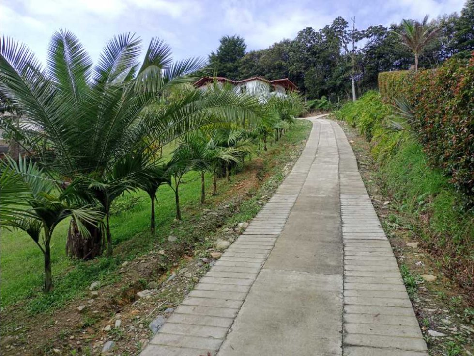 LINDA FINCA EN VENTA EN LA VEREDA SAMARÍA DEL CARMEN DE VÍBORAL ANT. — foto 3