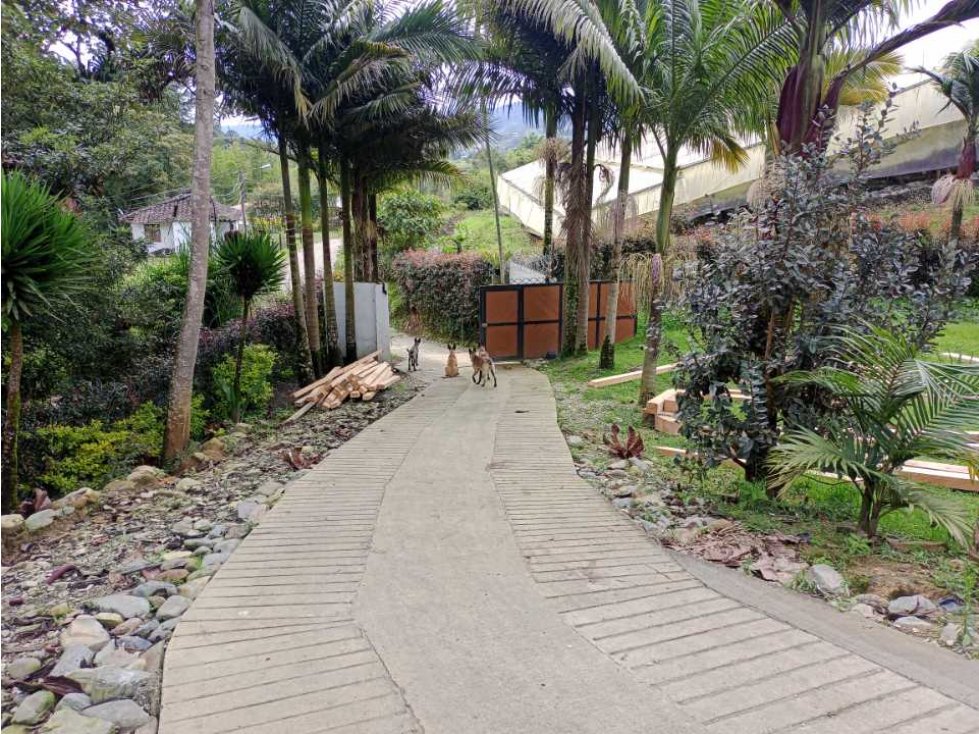 LINDA FINCA EN VENTA EN LA VEREDA SAMARÍA DEL CARMEN DE VÍBORAL ANT. — foto 4